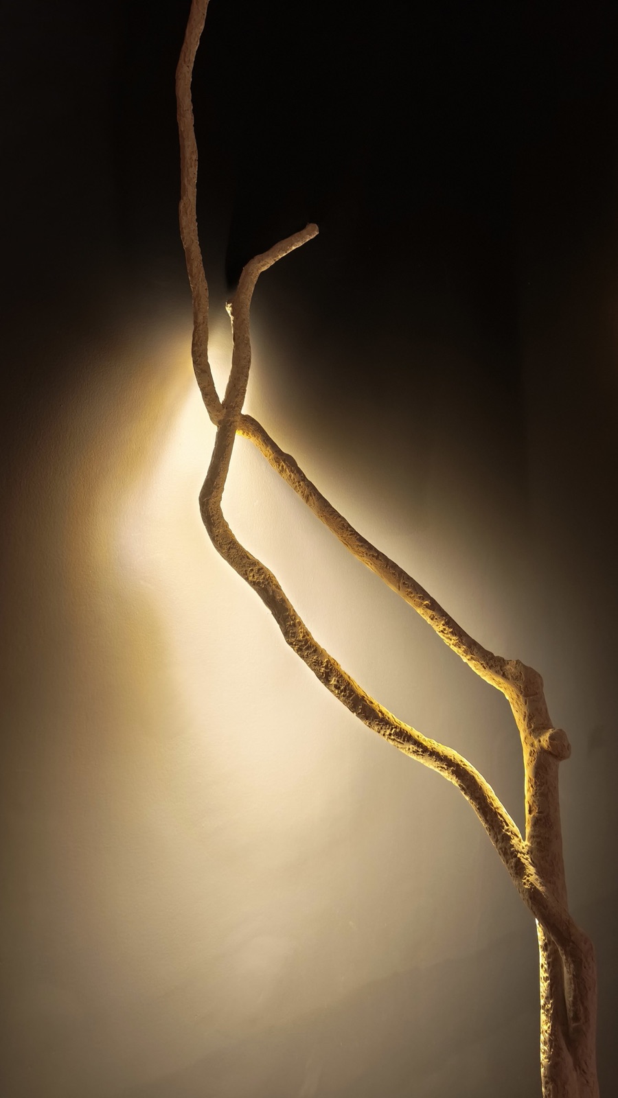 Image from the post