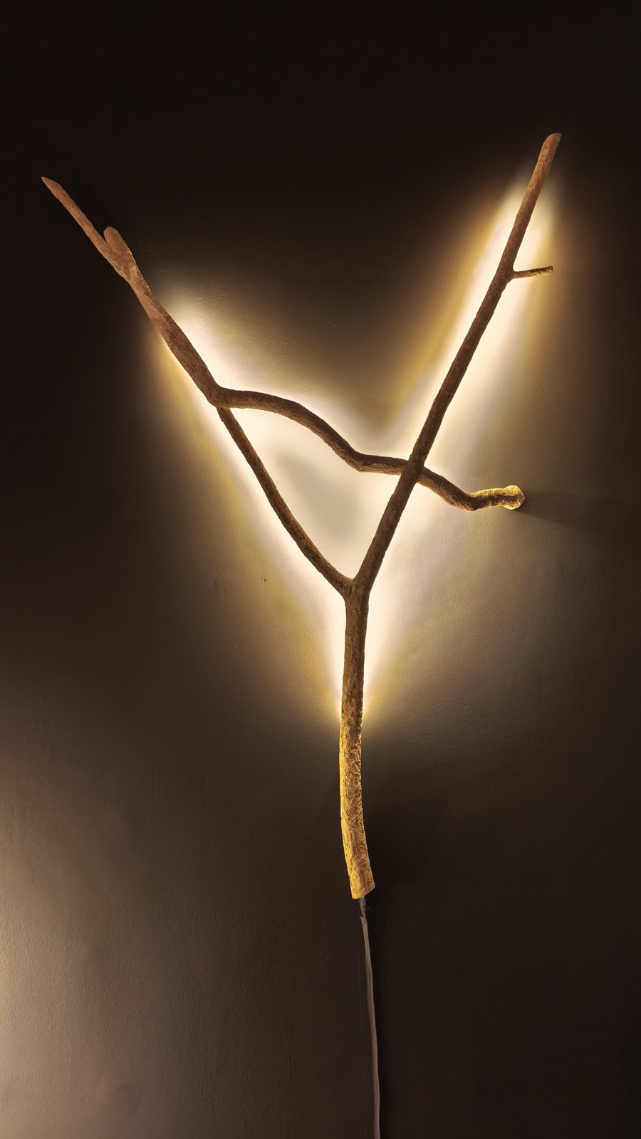 Image from the post