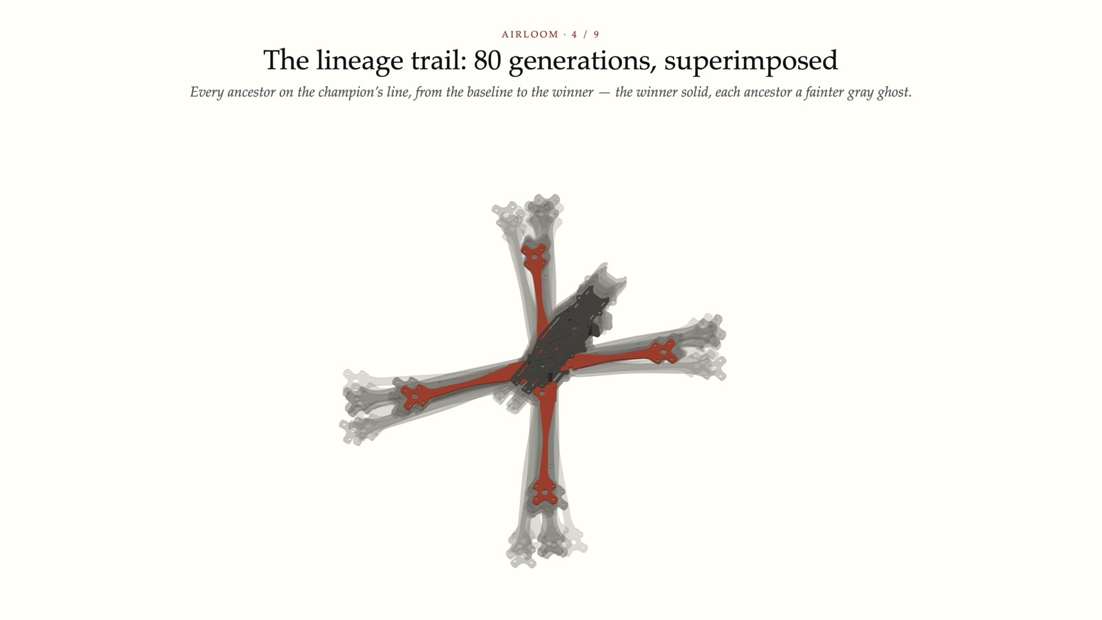 The lineage trail: 80 generations, superimposed